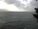 ./images/koeye/fitz-hugh/20210115/fitz-hugh20210115_124501.jpg