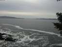 ./images/koeye/fitz-hugh/20210118/fitz-hugh20210118_125501.jpg
