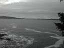 ./images/koeye/fitz-hugh/20210118/fitz-hugh20210118_174001.jpg