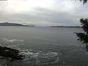 ./images/koeye/fitz-hugh/20210120/fitz-hugh20210120_113501.jpg