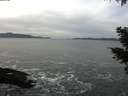 ./images/koeye/fitz-hugh/20210120/fitz-hugh20210120_114501.jpg