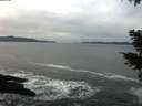 ./images/koeye/fitz-hugh/20210120/fitz-hugh20210120_115501.jpg