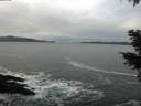 ./images/koeye/fitz-hugh/20210120/fitz-hugh20210120_121501.jpg