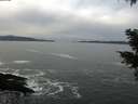 ./images/koeye/fitz-hugh/20210120/fitz-hugh20210120_123502.jpg