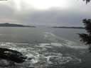 ./images/koeye/fitz-hugh/20210120/fitz-hugh20210120_131002.jpg