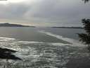 ./images/koeye/fitz-hugh/20210120/fitz-hugh20210120_135501.jpg
