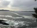 ./images/koeye/fitz-hugh/20210120/fitz-hugh20210120_140501.jpg