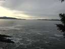 ./images/koeye/fitz-hugh/20210120/fitz-hugh20210120_144001.jpg