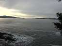 ./images/koeye/fitz-hugh/20210120/fitz-hugh20210120_144501.jpg