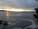 ./images/koeye/fitz-hugh/20210120/fitz-hugh20210120_163501.jpg