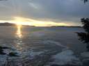 ./images/koeye/fitz-hugh/20210120/fitz-hugh20210120_164001.jpg
