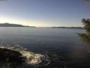 ./images/koeye/fitz-hugh/20210121/fitz-hugh20210121_125501.jpg