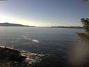 ./images/koeye/fitz-hugh/20210121/fitz-hugh20210121_135001.jpg