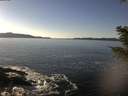 ./images/koeye/fitz-hugh/20210121/fitz-hugh20210121_140501.jpg