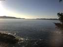 ./images/koeye/fitz-hugh/20210121/fitz-hugh20210121_142502.jpg