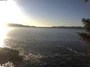 ./images/koeye/fitz-hugh/20210121/fitz-hugh20210121_153002.jpg