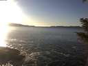 ./images/koeye/fitz-hugh/20210121/fitz-hugh20210121_153501.jpg