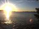 ./images/koeye/fitz-hugh/20210121/fitz-hugh20210121_163501.jpg