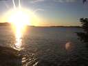 ./images/koeye/fitz-hugh/20210121/fitz-hugh20210121_164001.jpg