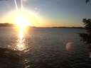 ./images/koeye/fitz-hugh/20210121/fitz-hugh20210121_164501.jpg
