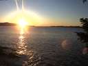 ./images/koeye/fitz-hugh/20210121/fitz-hugh20210121_165001.jpg