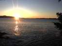 ./images/koeye/fitz-hugh/20210121/fitz-hugh20210121_165501.jpg