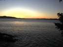 ./images/koeye/fitz-hugh/20210121/fitz-hugh20210121_170002.jpg