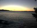 ./images/koeye/fitz-hugh/20210121/fitz-hugh20210121_171501.jpg