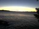 ./images/koeye/fitz-hugh/20210121/fitz-hugh20210121_174502.jpg