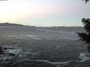 ./images/koeye/fitz-hugh/20210122/fitz-hugh20210122_080002.jpg