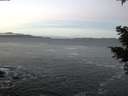 ./images/koeye/fitz-hugh/20210123/fitz-hugh20210123_080001.jpg