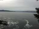 ./images/koeye/fitz-hugh/20210123/fitz-hugh20210123_120002.jpg