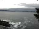 ./images/koeye/fitz-hugh/20210123/fitz-hugh20210123_140001.jpg
