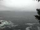 ./images/koeye/fitz-hugh/20210124/fitz-hugh20210124_080001.jpg