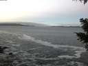 ./images/koeye/fitz-hugh/20210125/fitz-hugh20210125_080002.jpg