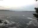 ./images/koeye/fitz-hugh/20210126/fitz-hugh20210126_080001.jpg