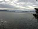 ./images/koeye/fitz-hugh/20210126/fitz-hugh20210126_120002.jpg