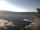 ./images/koeye/fitz-hugh/20210128/fitz-hugh20210128_140001.jpg