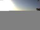 ./images/koeye/fitz-hugh/20210128/fitz-hugh20210128_160002.jpg