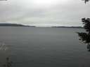 ./images/koeye/fitz-hugh/20210129/fitz-hugh20210129_140001.jpg