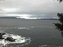 ./images/koeye/fitz-hugh/20210130/fitz-hugh20210130_100002.jpg