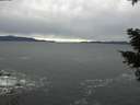 ./images/koeye/fitz-hugh/20210130/fitz-hugh20210130_160001.jpg