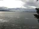 ./images/koeye/fitz-hugh/20210131/fitz-hugh20210131_140002.jpg