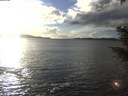 ./images/koeye/fitz-hugh/20210131/fitz-hugh20210131_160001.jpg