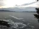 ./images/koeye/fitz-hugh/20210201/fitz-hugh20210201_080002.jpg