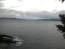 ./images/koeye/fitz-hugh/20210202/fitz-hugh20210202_080002.jpg