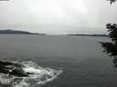./images/koeye/fitz-hugh/20210203/fitz-hugh20210203_140002.jpg