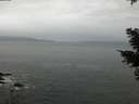 ./images/koeye/fitz-hugh/20210203/fitz-hugh20210203_160002.jpg