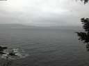 ./images/koeye/fitz-hugh/20210204/fitz-hugh20210204_080002.jpg
