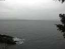 ./images/koeye/fitz-hugh/20210204/fitz-hugh20210204_100001.jpg